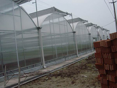 PC板農(nóng)用蔬菜大棚圖片2