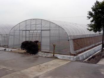 農業大棚骨架大棚圖片