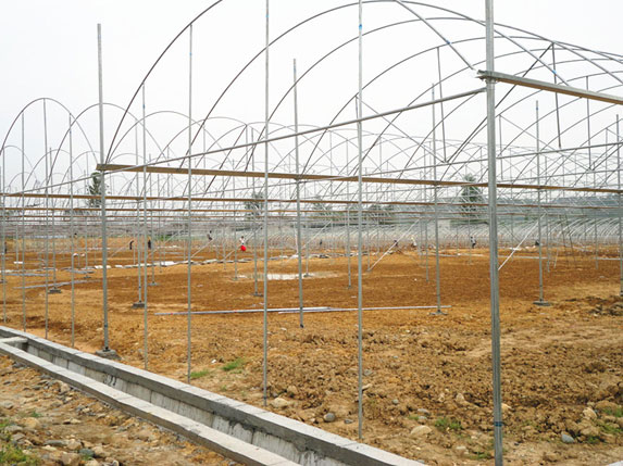 農用連棟溫室大棚