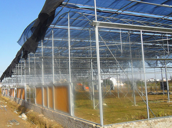 農用連棟溫室大棚圖片3