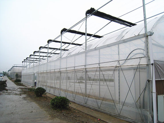 農用連棟溫室大棚圖片5