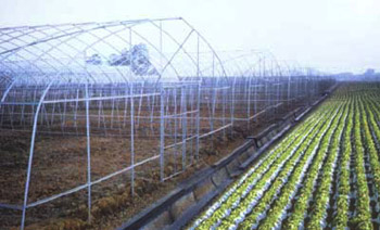 農業大棚骨架大棚