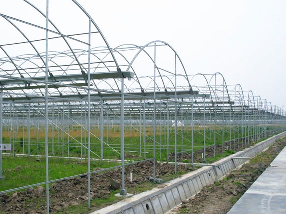 農用連棟溫室大棚圖片2